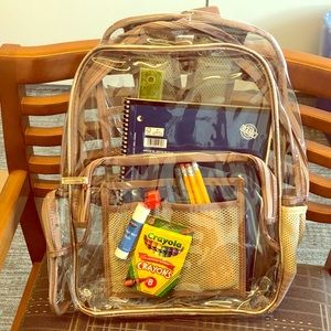 Clear & rose gold backpack